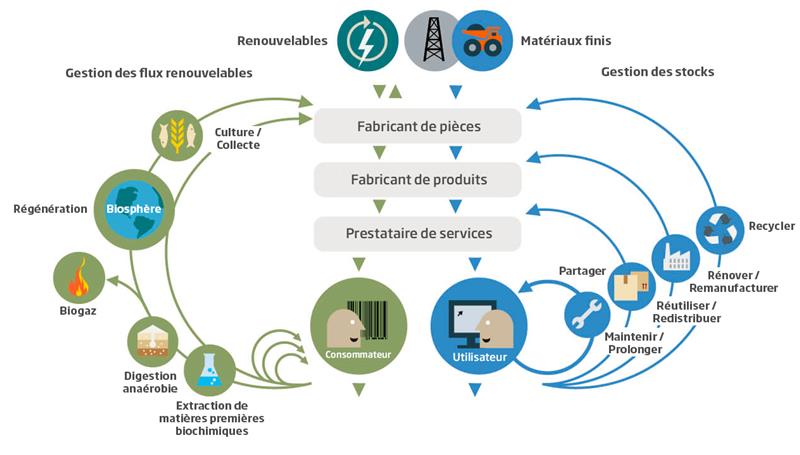 Circular Economy Caption Image